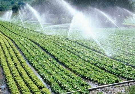 Upgrading the adoption of modern irrigation techniques and providing extension services: